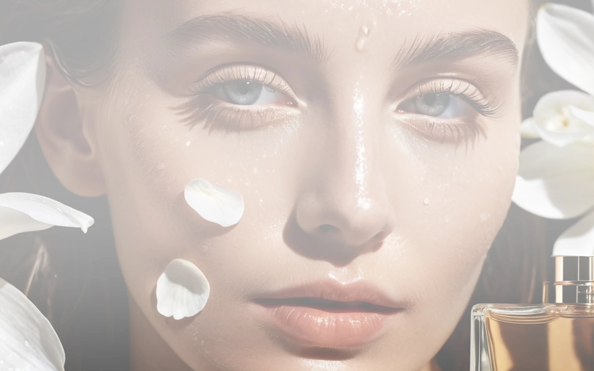 L’univers de la beauté : parfum, mode et soins

